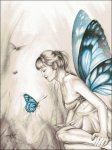(image for) Whispering Wings